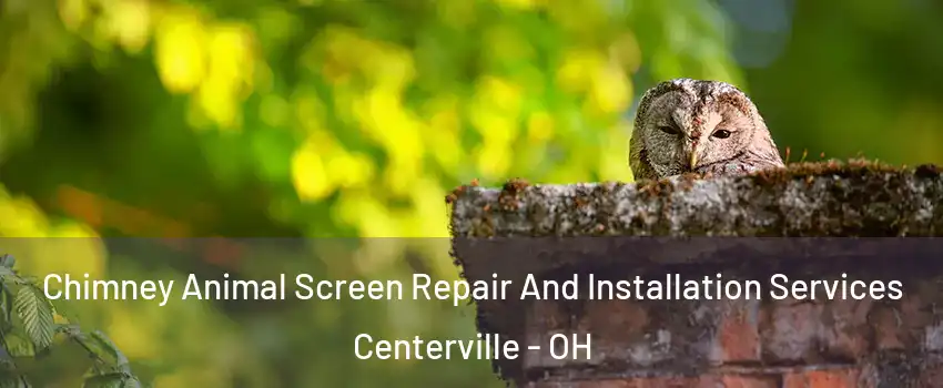  Chimney Animal Screen Repair And Installation Services Centerville - OH