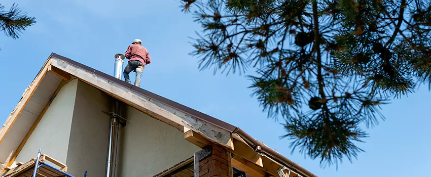 Birds Removal Contractors from Chimney in Centerville, OH