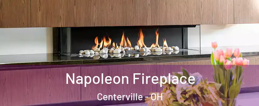  Napoleon Fireplace Centerville - OH
